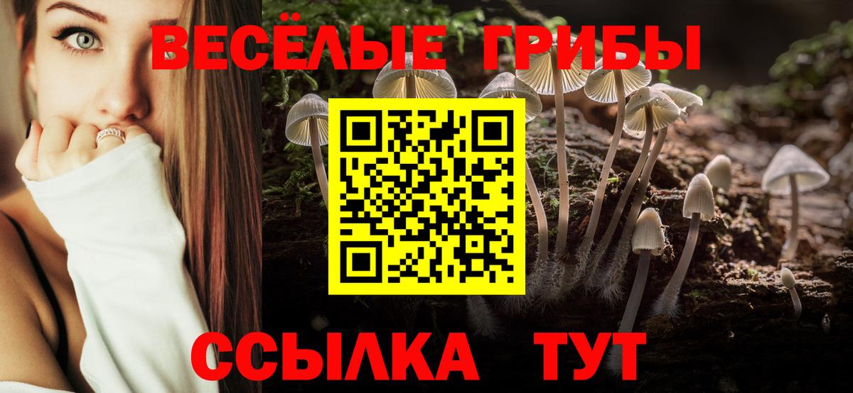 Щёкино  Псилоцибиновые грибы Psilocybine cubensis  Вход с VPN  Псилоцибиновые грибы Cubensis 